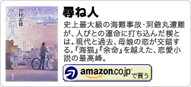 谷村志穂著書：「シーソーメイル」